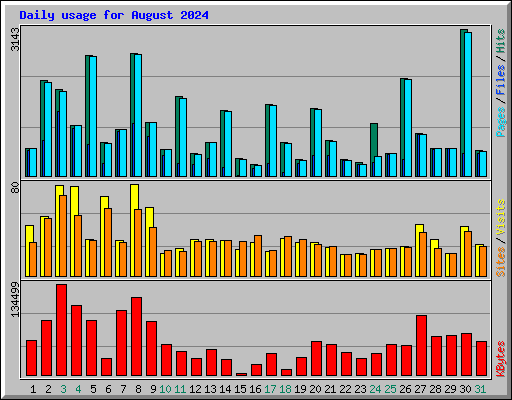 Daily usage for August 2024