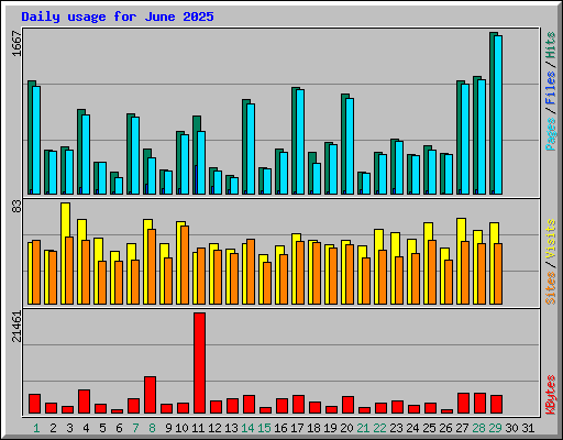 Daily usage for June 2025