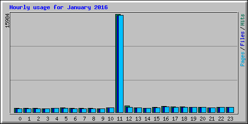 Hourly usage for January 2016