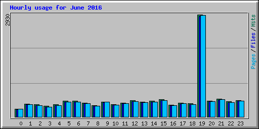 Hourly usage for June 2016
