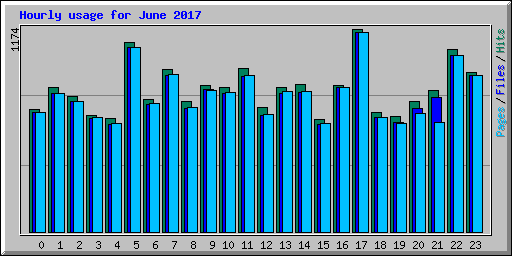 Hourly usage for June 2017