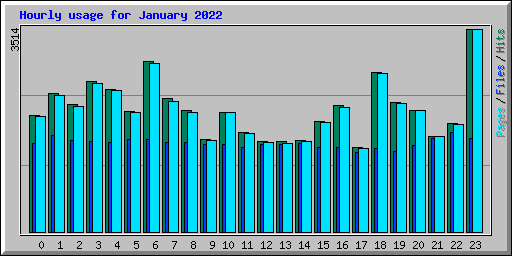 Hourly usage for January 2022