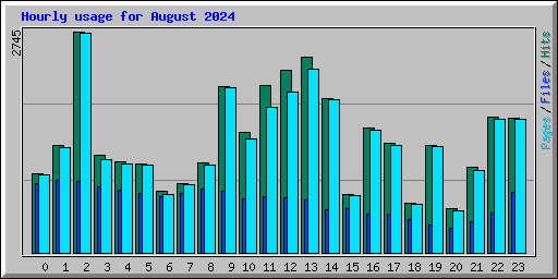 Hourly usage for August 2024