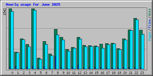 Hourly usage for June 2025