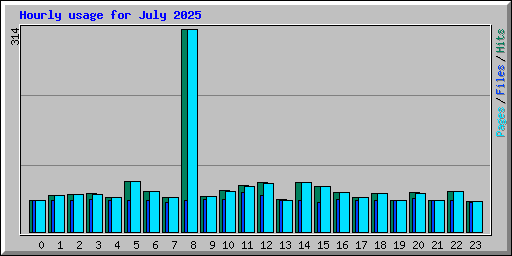 Hourly usage for July 2025