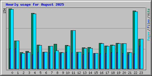 Hourly usage for August 2025