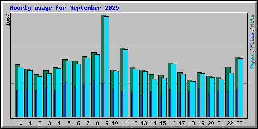 Hourly usage for September 2025